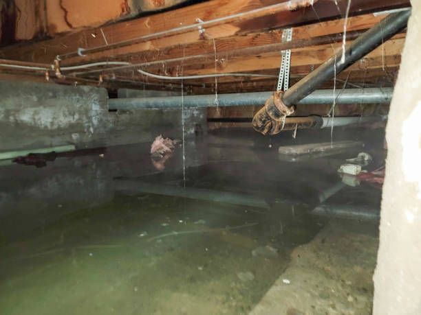 Professional Water damage restoration in Lake Caroline, VA