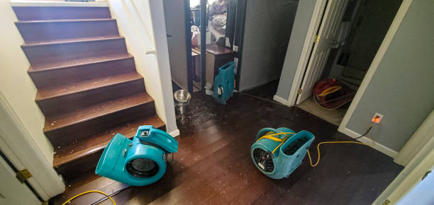 Best Flooded house restoration  in Lake Caroline, VA