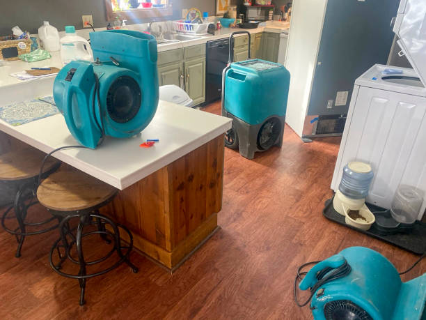 Best Flood damage cleanup  in Lake Caroline, VA