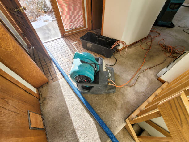 Best Fire Damage Restoration  in Lake Caroline, VA