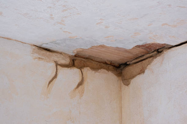 Best 24/7 water damage repair  in Lake Caroline, VA