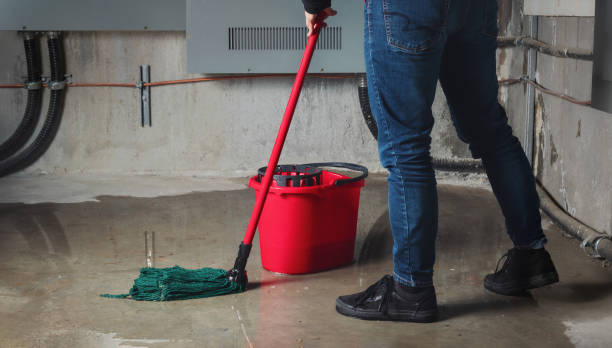 Carpet water damage restoration in Lake Caroline, VA