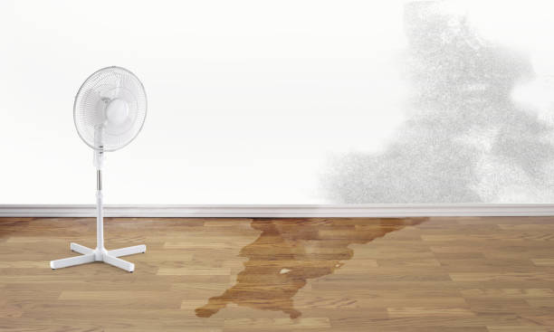 Best Water damage restoration specialists  in Lake Caroline, VA