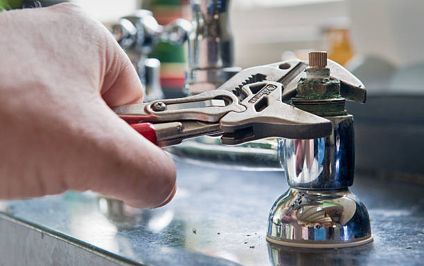 Best Mold removal after water damage  in Lake Caroline, VA